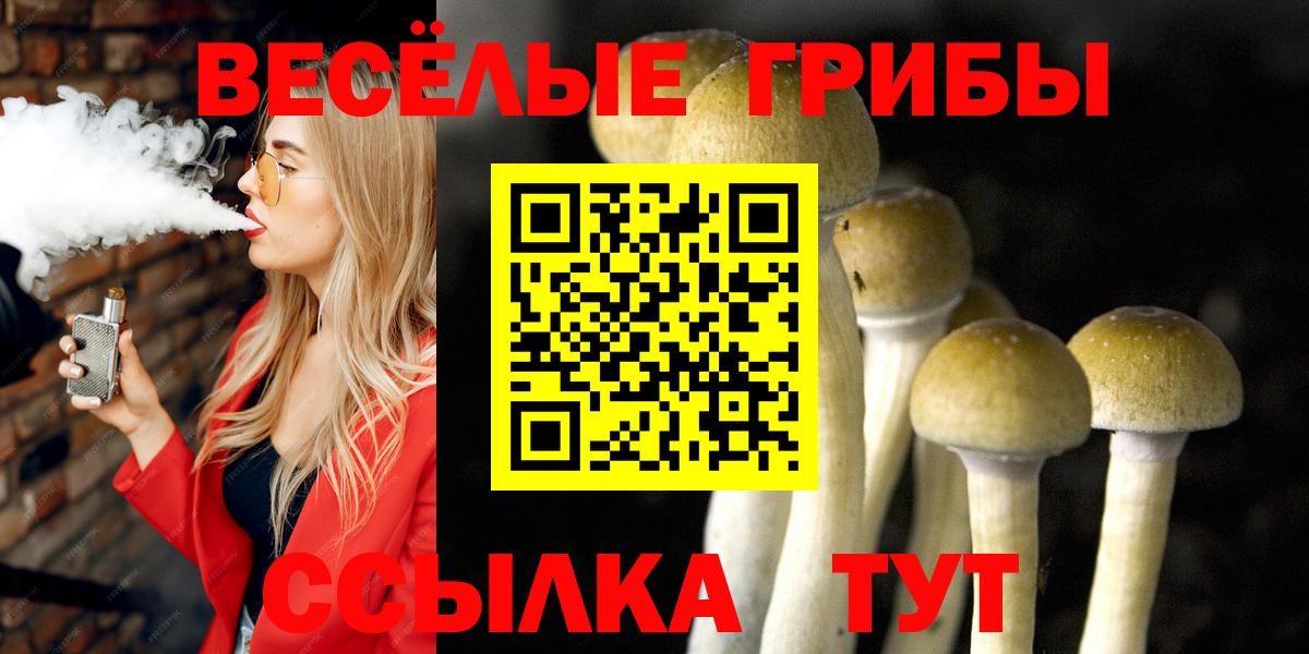 Южно-Сахалинск  Галлюциногенные грибы Cubensis  Вход с VPN  Псилоцибиновые грибы MAGIC MUSHROOMS 