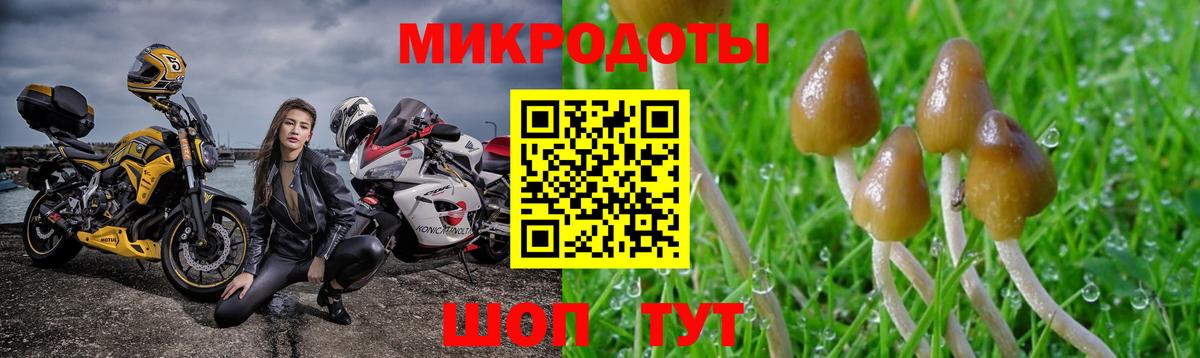 Псилоцибиновые грибы Cubensis Южно-Сахалинск